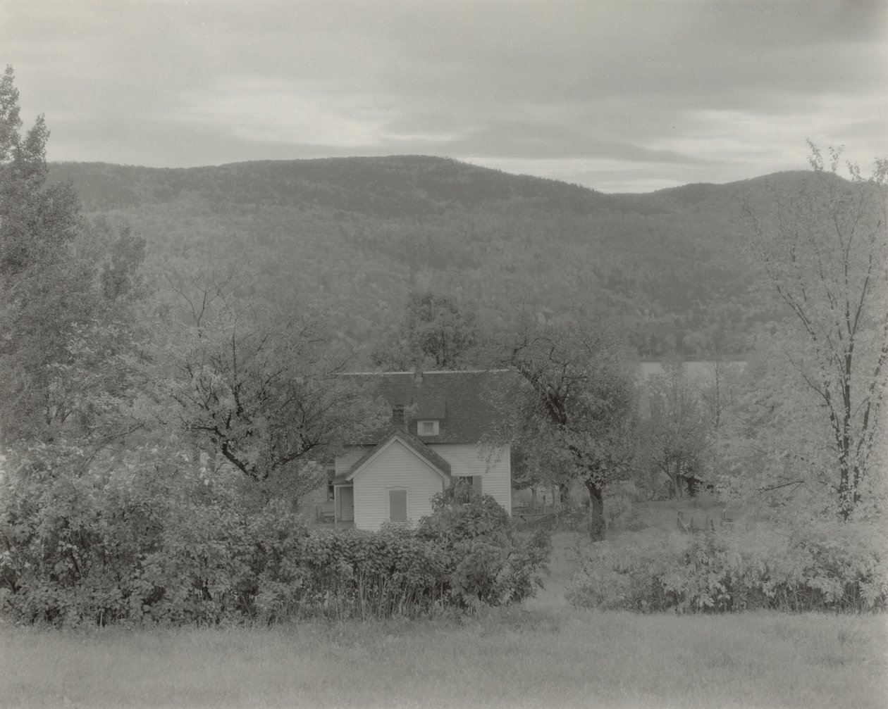 Lake George von Alfred Stieglitz