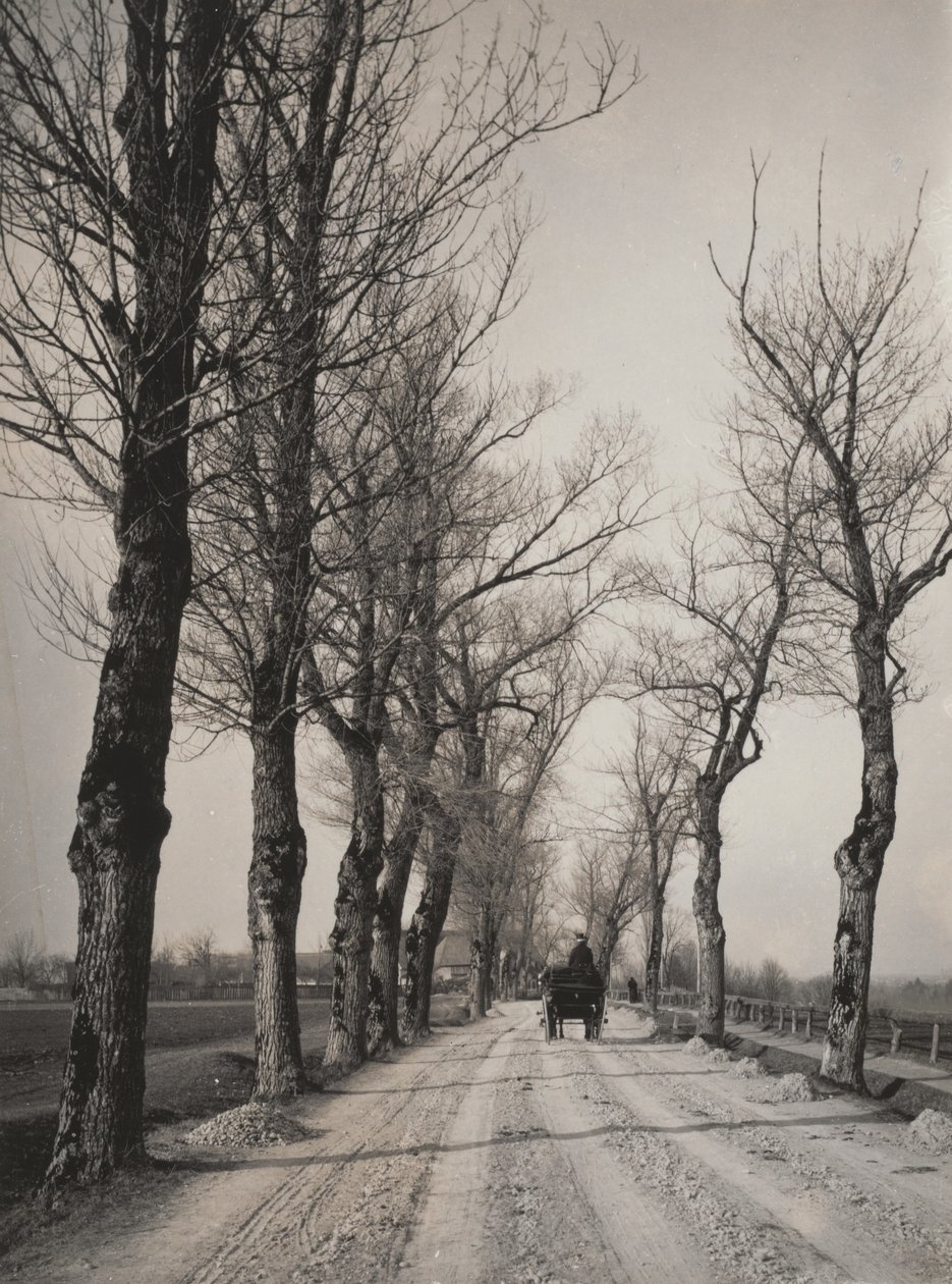 Novembertage von Alfred Stieglitz