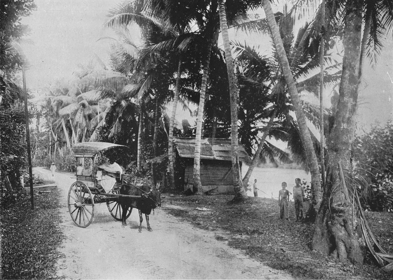 Straße neben dem Kelaniya-Fluss von Alfred William Amandus Plate