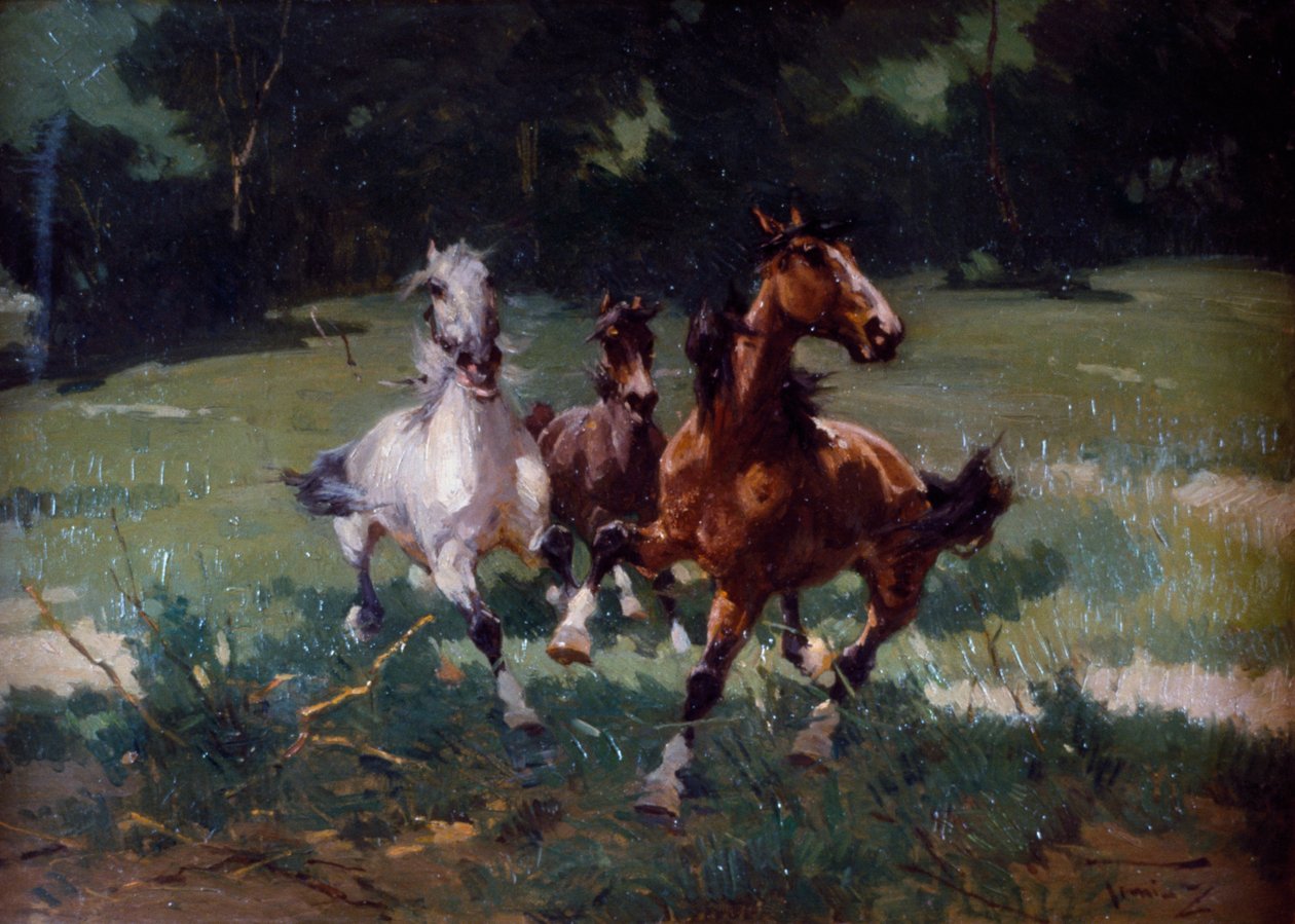 Rennende Pferde von Alfredo Tominz