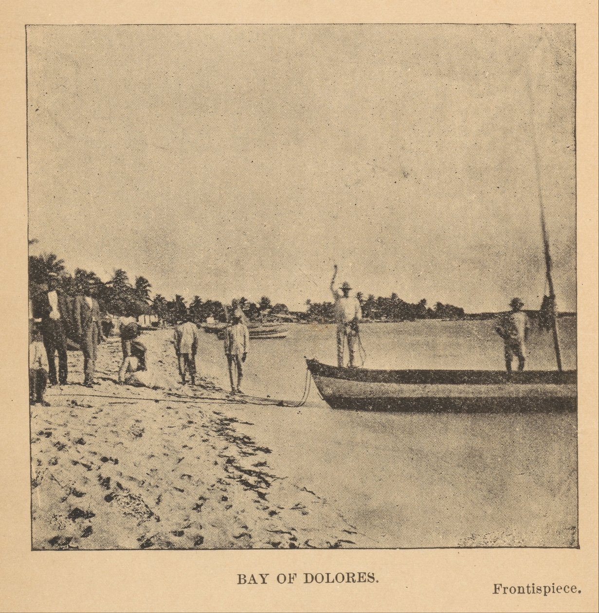 Bucht von Dolores von Alice Dixon Le Plongeon