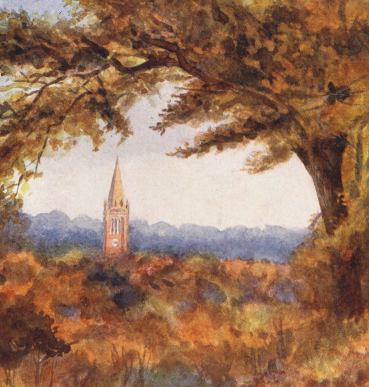 New Forest: Lyndhurst Kirche vom Cut Walk, November von Alice Julia Argles