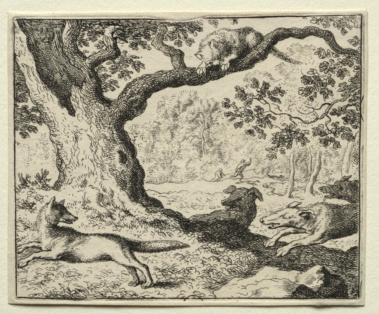 Reynard der Fuchs: Die illoyale Katze von Allart van Everdingen