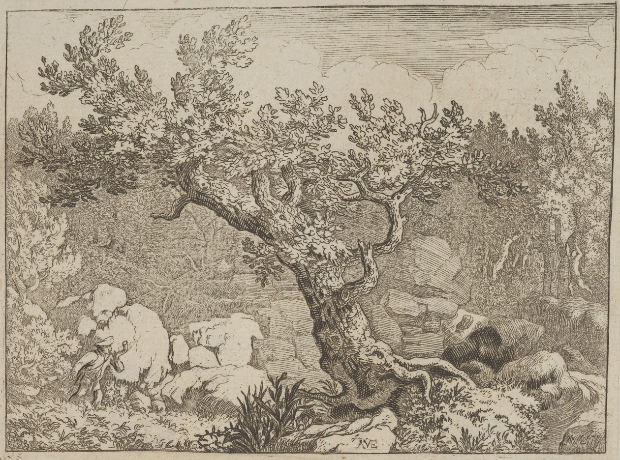 Der Jäger nahe dem großen Baum von Allart van Everdingen