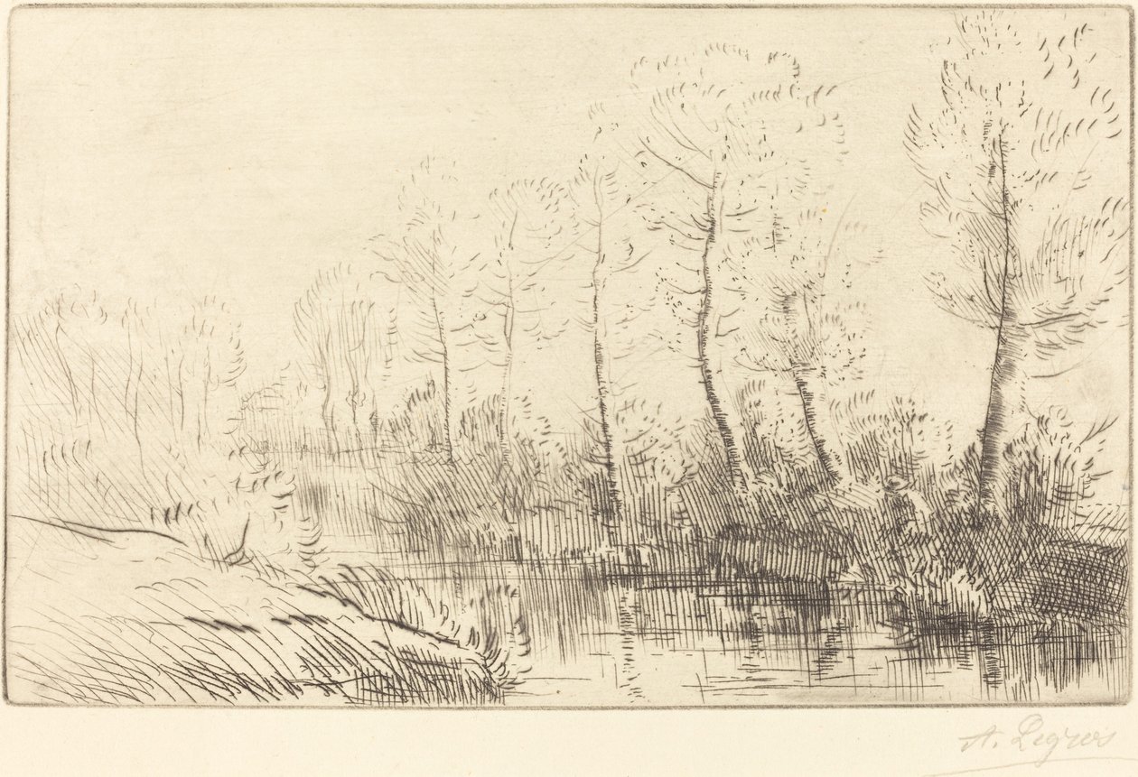 Birkenbäume: Wasserrand im Morgenlicht von Alphonse Legros