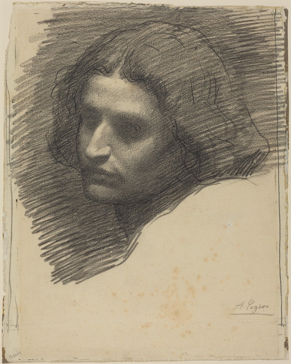 Kopf eines Mannes nach links gewandt von Alphonse Legros