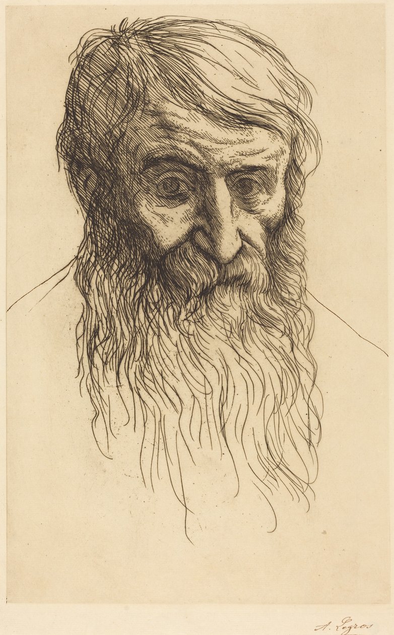 Kopf eines Philosophen von Alphonse Legros