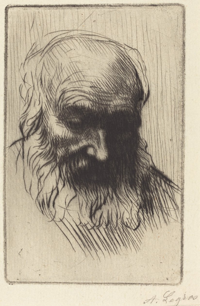 Kopf eines alten Mannes (Etude de tête) von Alphonse Legros