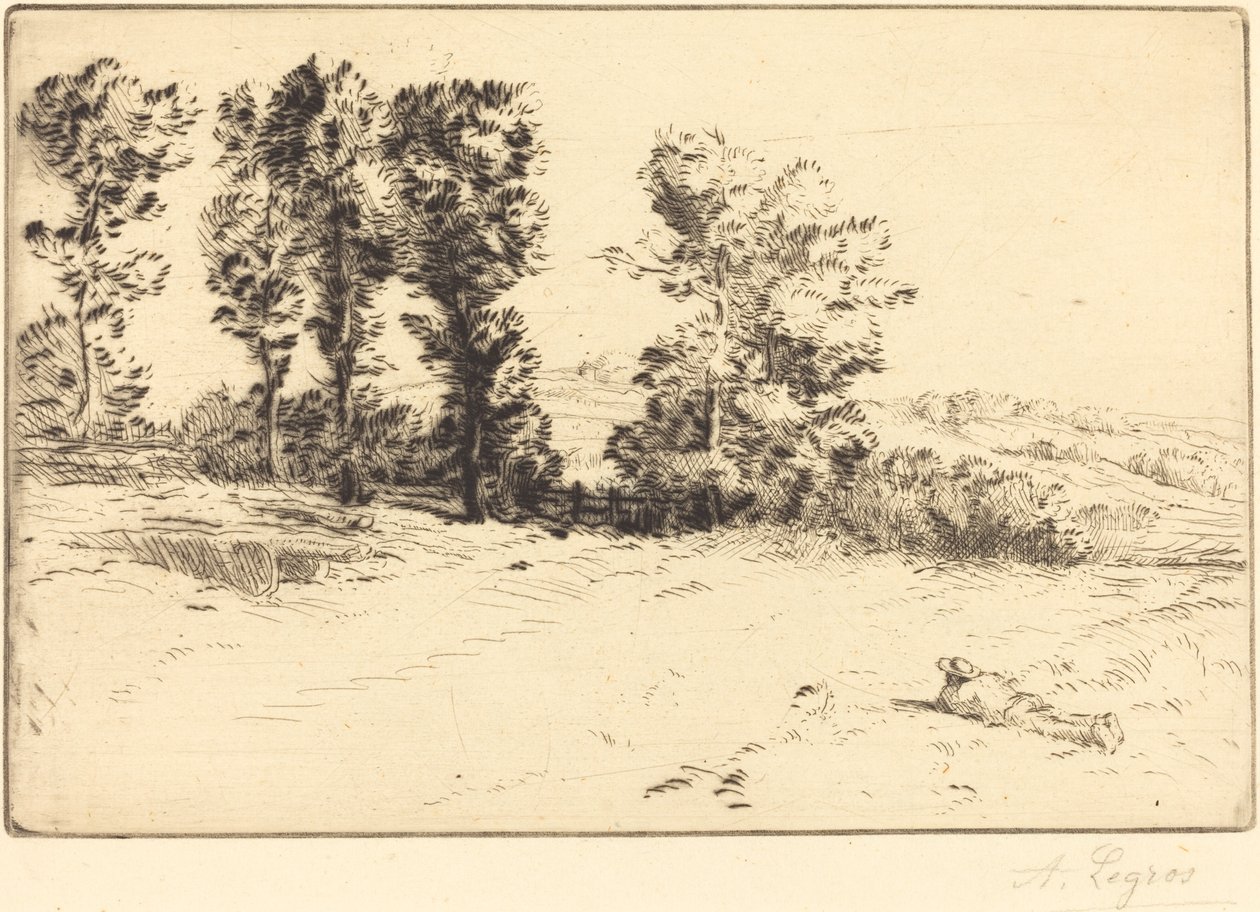 Wiese im Sonnenschein Le pré ensoleillé von Alphonse Legros