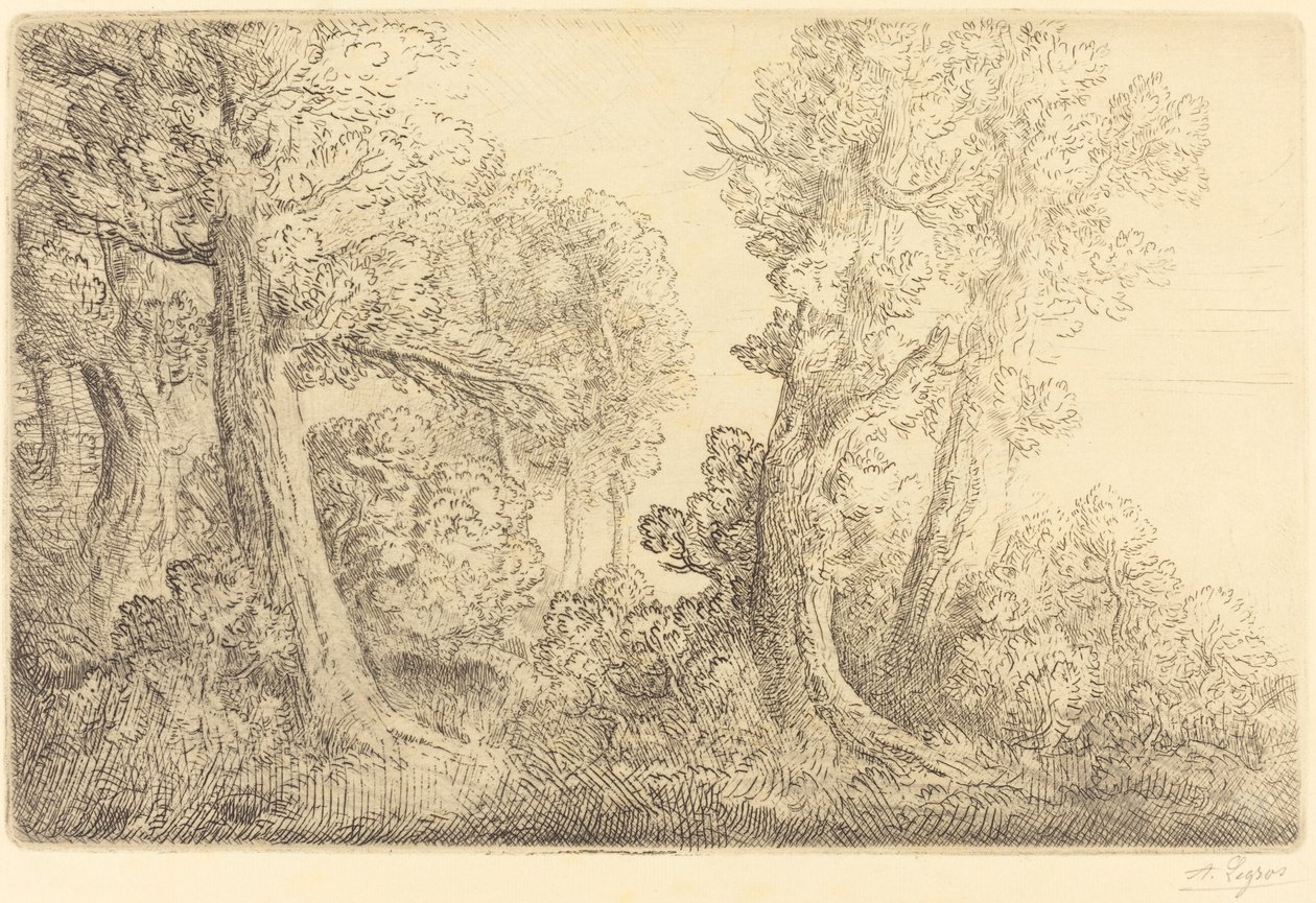 Nahe dem Wald, Veronne von Alphonse Legros
