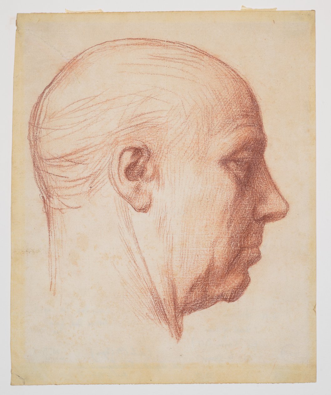 Profil eines Mannes von Alphonse Legros