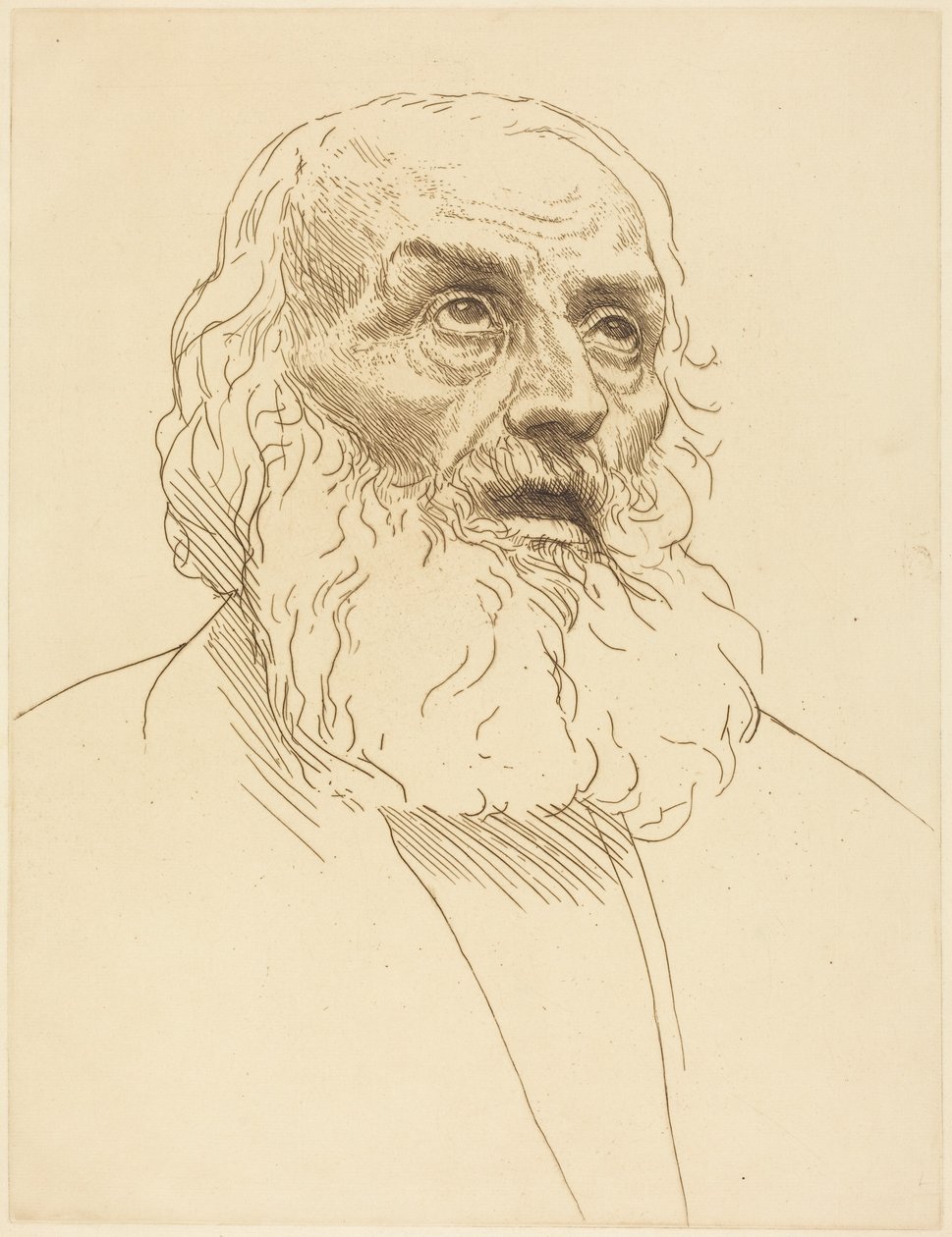 Studie eines alten Mannes von Alphonse Legros
