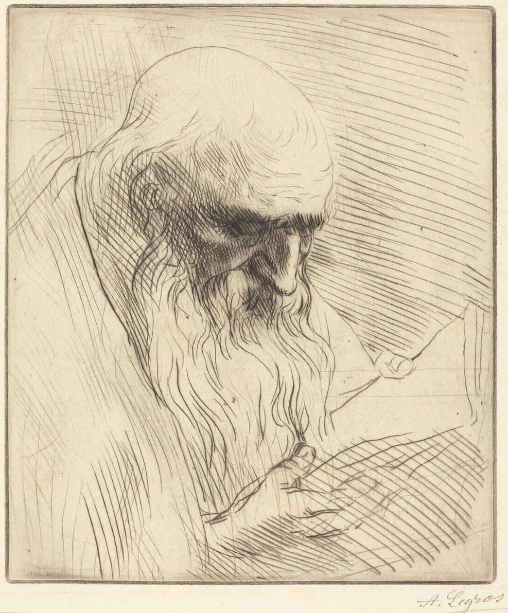Studie des Kopfes eines lesenden Mannes von Alphonse Legros