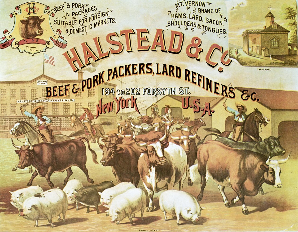 Rind- und Schweinepacker, ca. 1880 von American Photographer