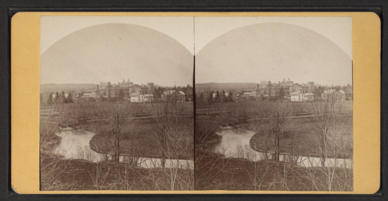 Vogelperspektive auf Wohngebäude, ca. 1870 von American Photographer