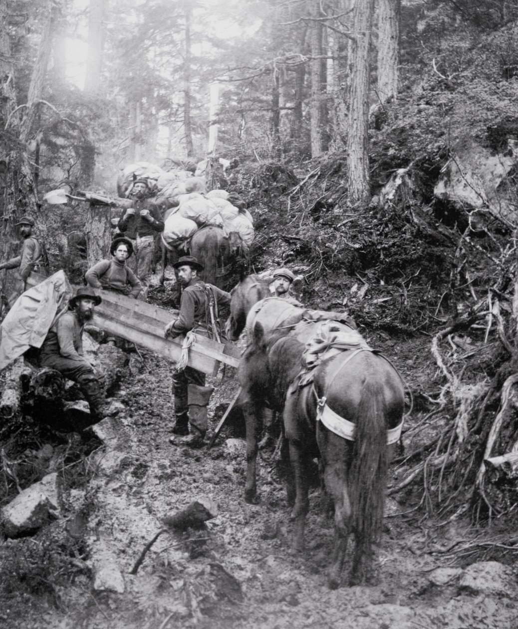 Aufstieg auf dem Dyea Trail auf dem Weg zum Chilkoot Pass während des Klondike-Goldrauschs (1897-98) von American Photographer