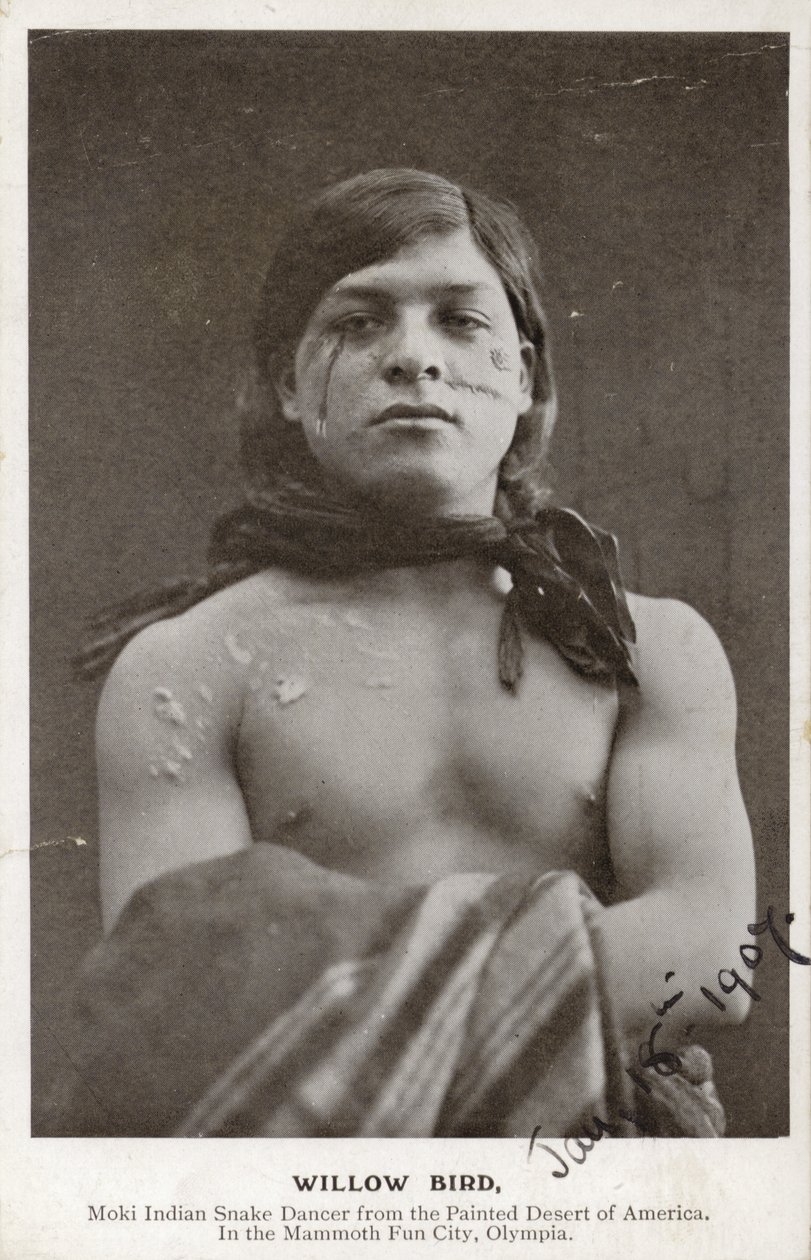 Willow Bird - Moki-Indianer Schlangentänzer aus der gemalten Wüste Amerikas von American Photographer