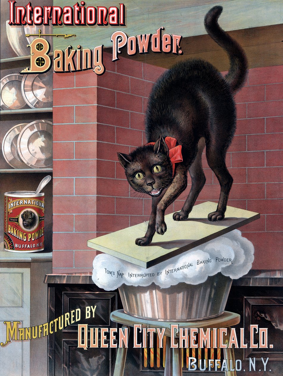 Schwarze Katze, die von aufgehendem Brotteig geweckt wird, ca. 1885 von American School