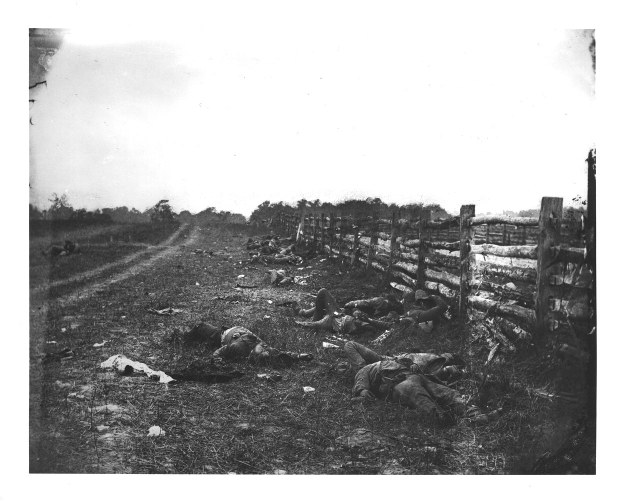 Konföderierte Tote entlang der Westseite des Hagerstown Pike, Schlacht von Antietam, 19. September 1862 von American School