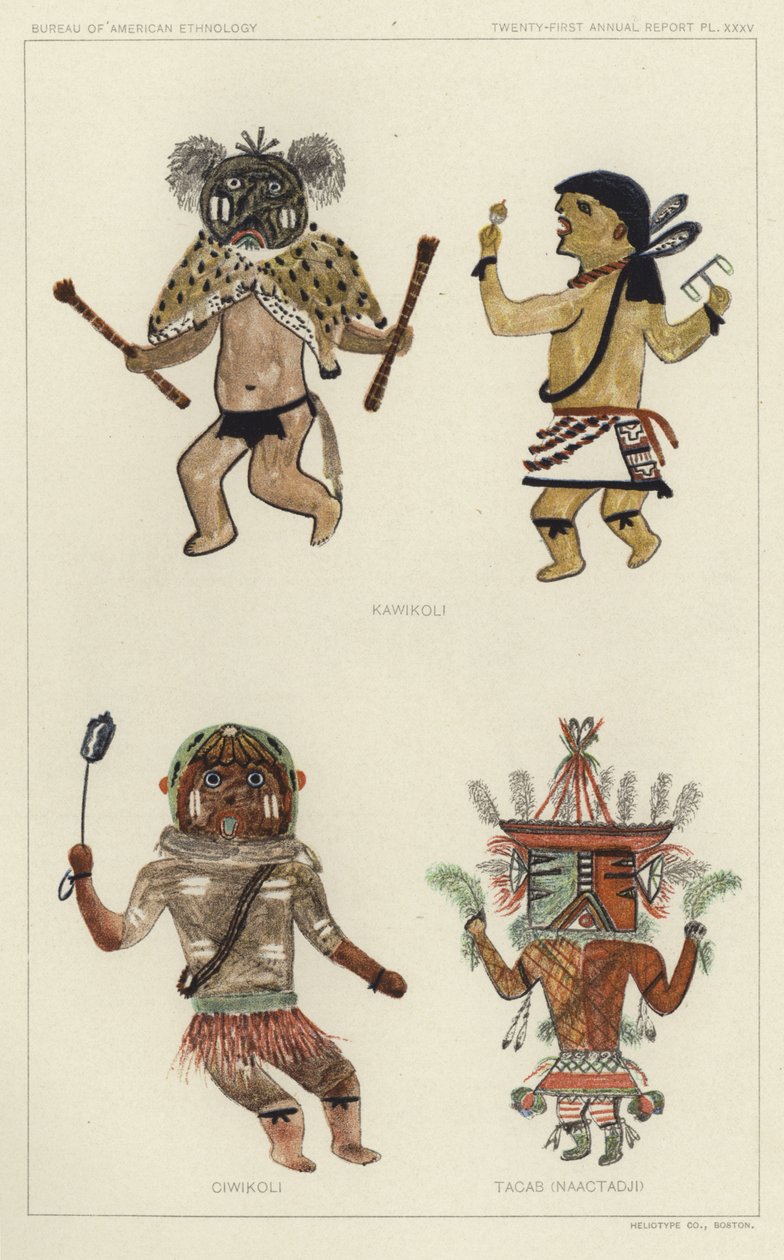 Kawikoli, Ciwikoli, Tacab (Naactadji) von American School
