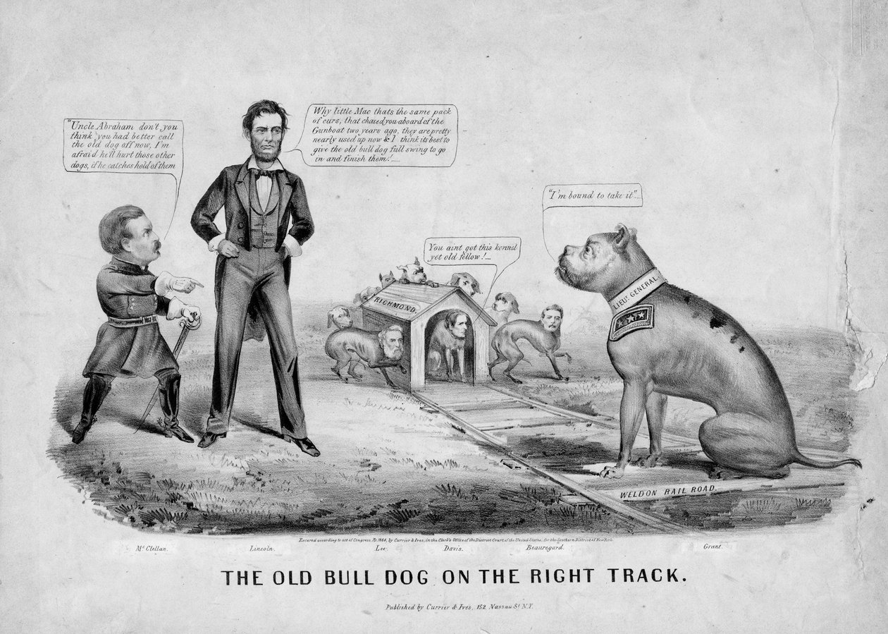 Der alte Bulldogge auf dem richtigen Weg von American School