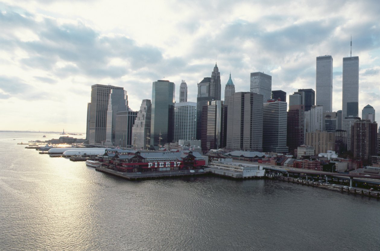 Blick auf das Finanzviertel über den East River von American School