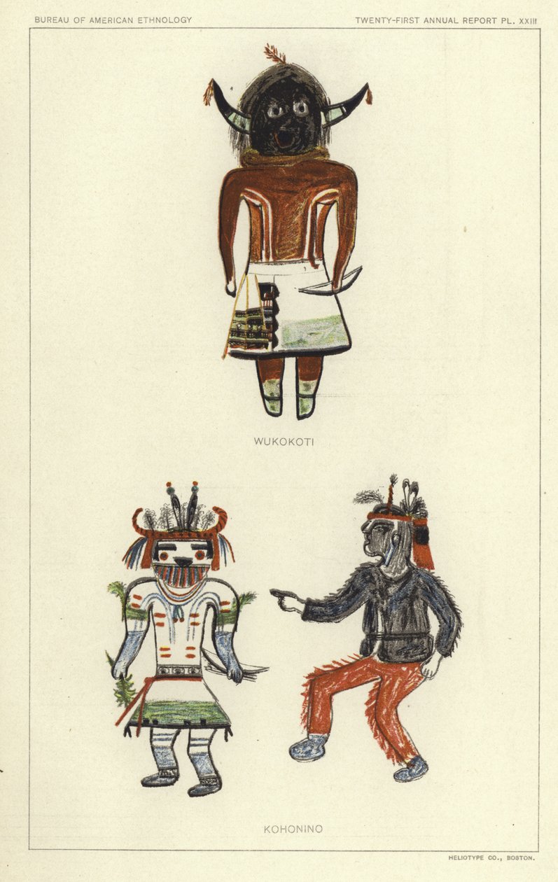Wukokoti, Kohonino von American School
