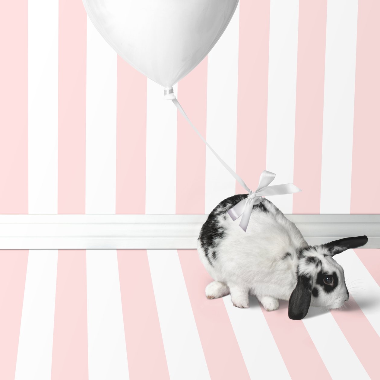 Bunnies 04, 2018 von Ana Carolina Tavares Mizrahi