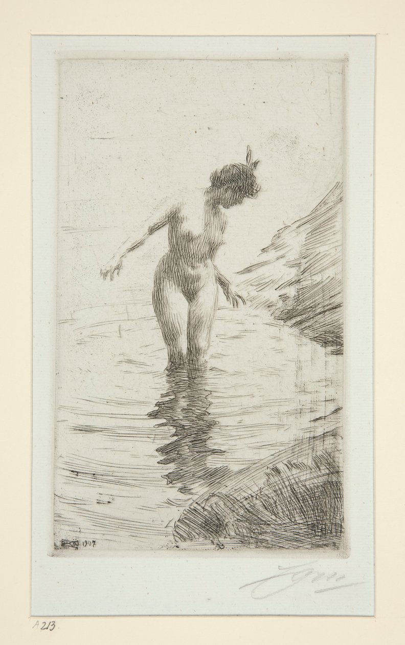 Kreise d von Anders Leonard Zorn