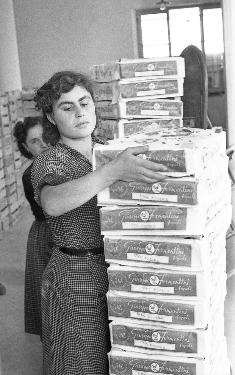 Bittere Trauben - Lager von Ando Gilardi