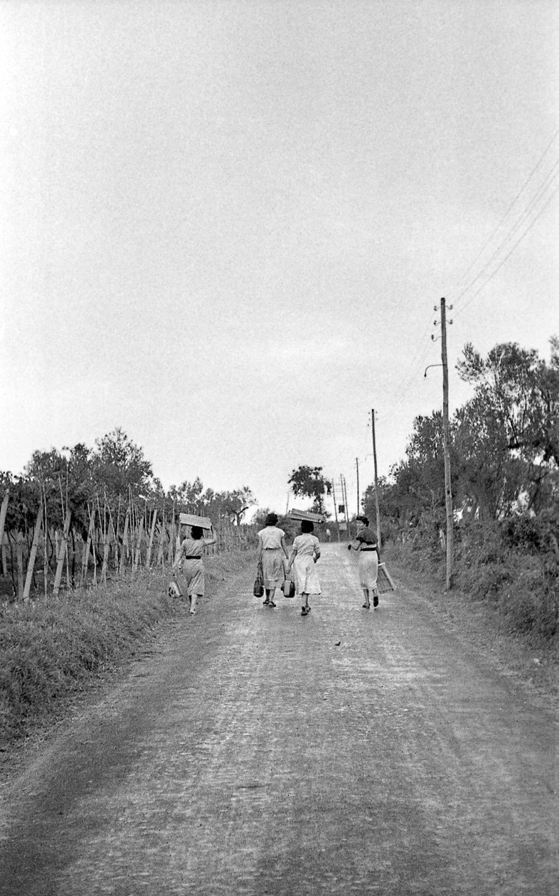 Bittere Trauben - Auf dem Weg zum zugewiesenen Posten von Ando Gilardi