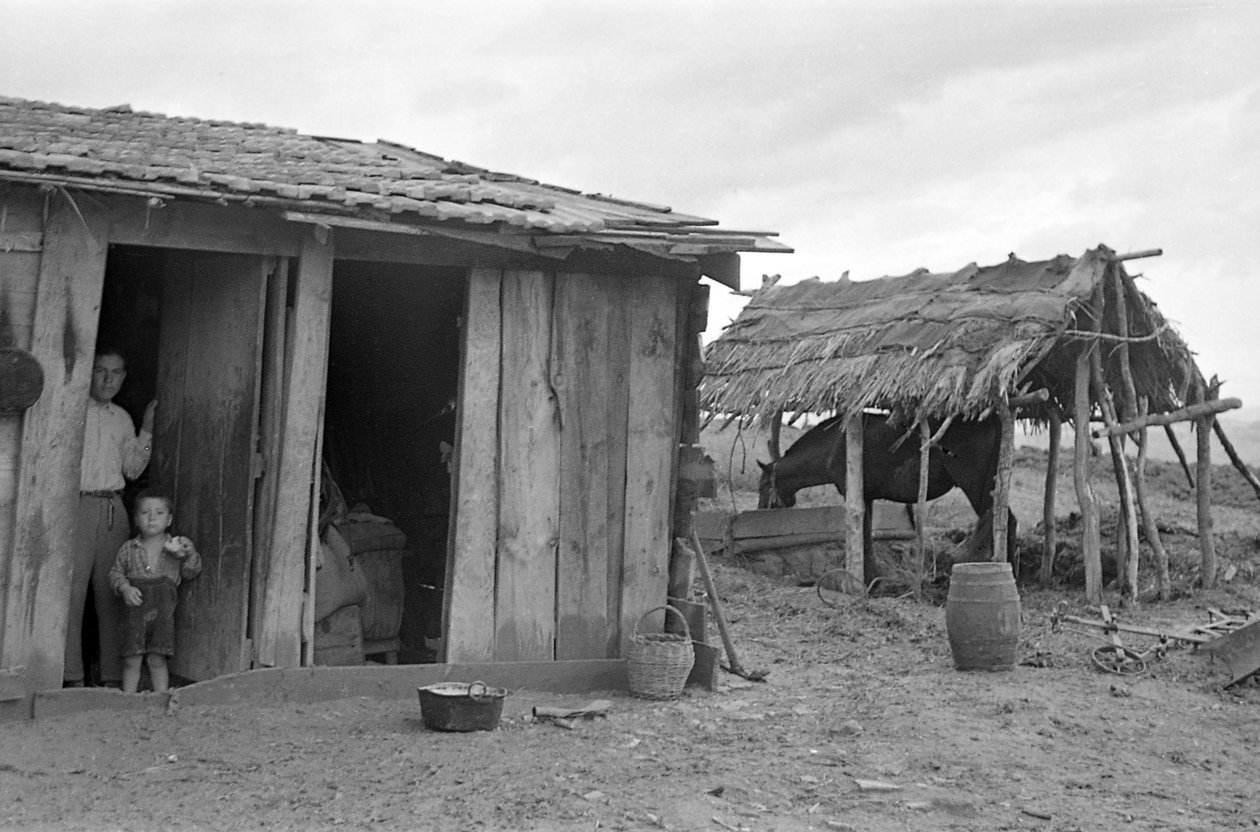 Kampagne von Crotone von Ando Gilardi