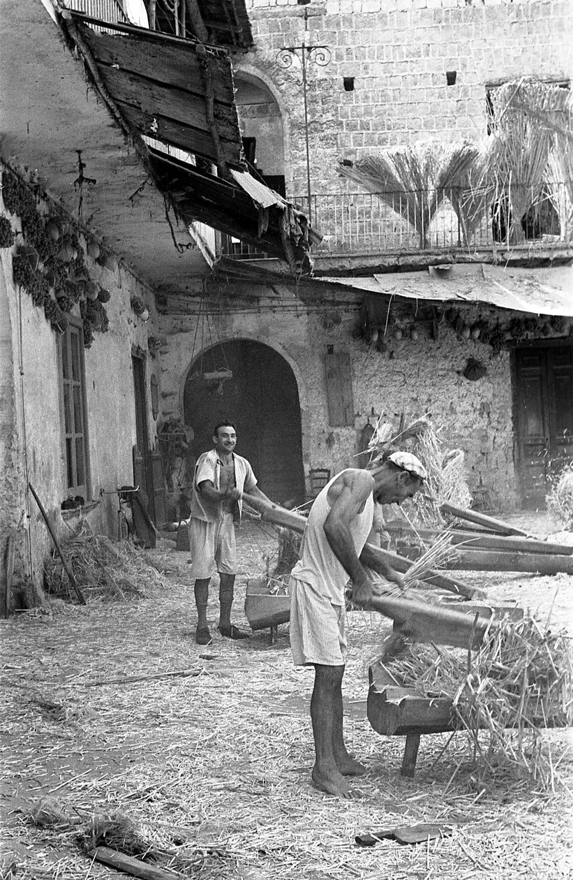 Hanfverarbeitung, das Chargieren von Ando Gilardi