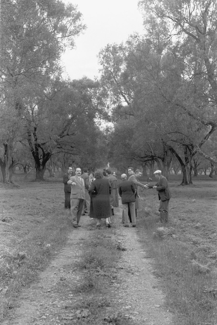 Gewerkschafter im Olivenhain von Ando Gilardi