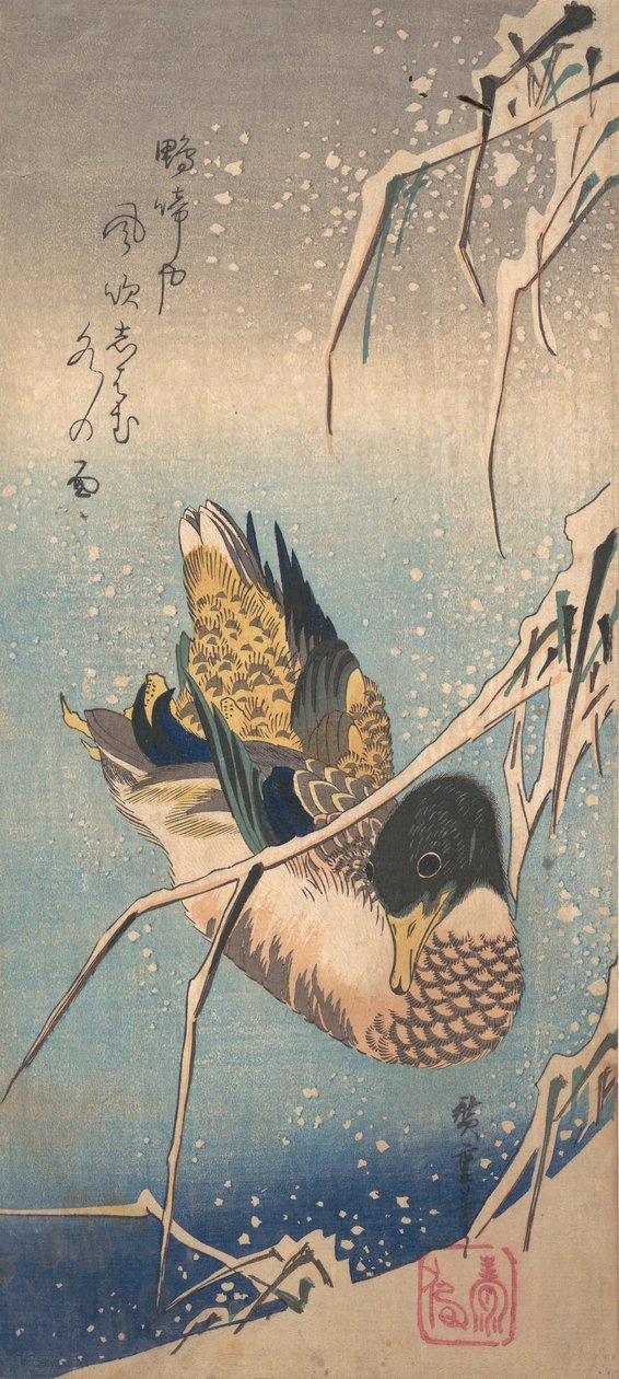 Eine Wildente an einem schneebedeckten Ufer, ca. 1843 von Ando Hiroshige