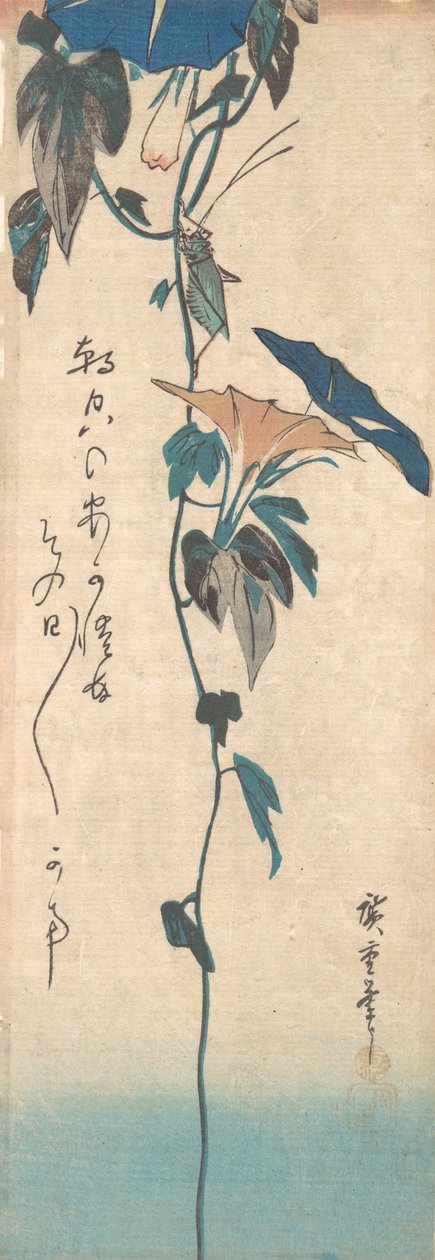 Heuschrecke und Prunkwinde, ca. 1835 von Ando Hiroshige