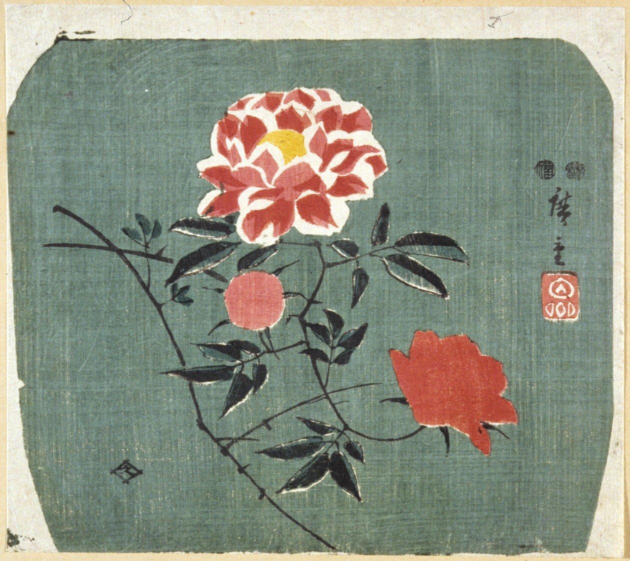 Fächerdruck: Rose von Ando or Utagawa Hiroshige