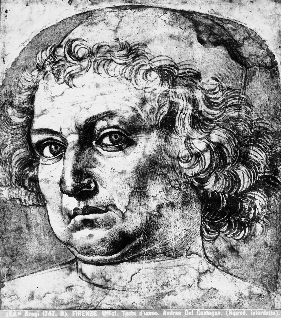 Porträt von Andrea del Verrocchio, ca. 1450 von Andrea del Castagno
