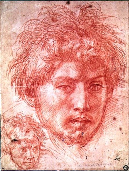 Kopf eines Mannes von Andrea del Sarto