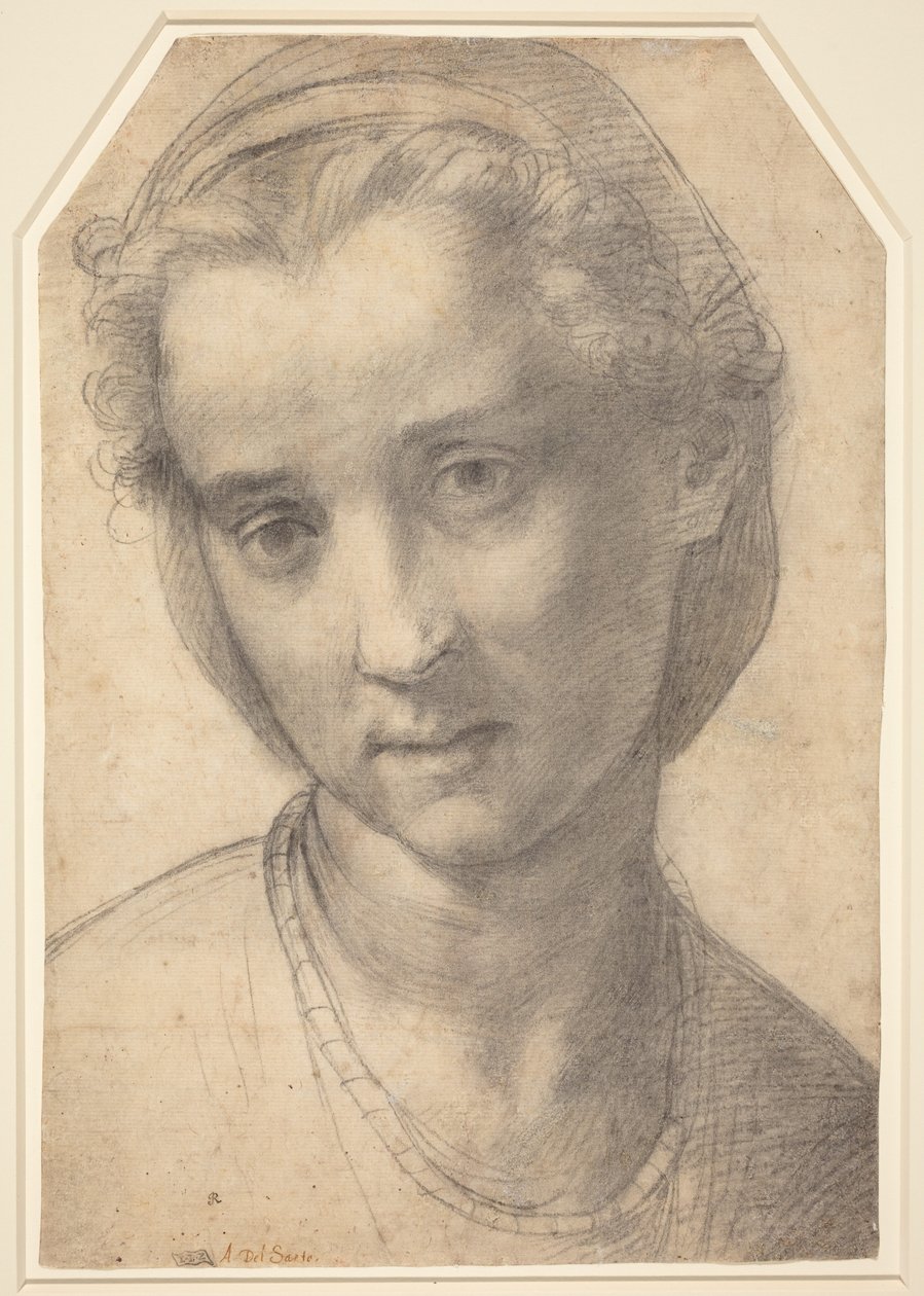 Kopf einer Frau von Andrea del Sarto