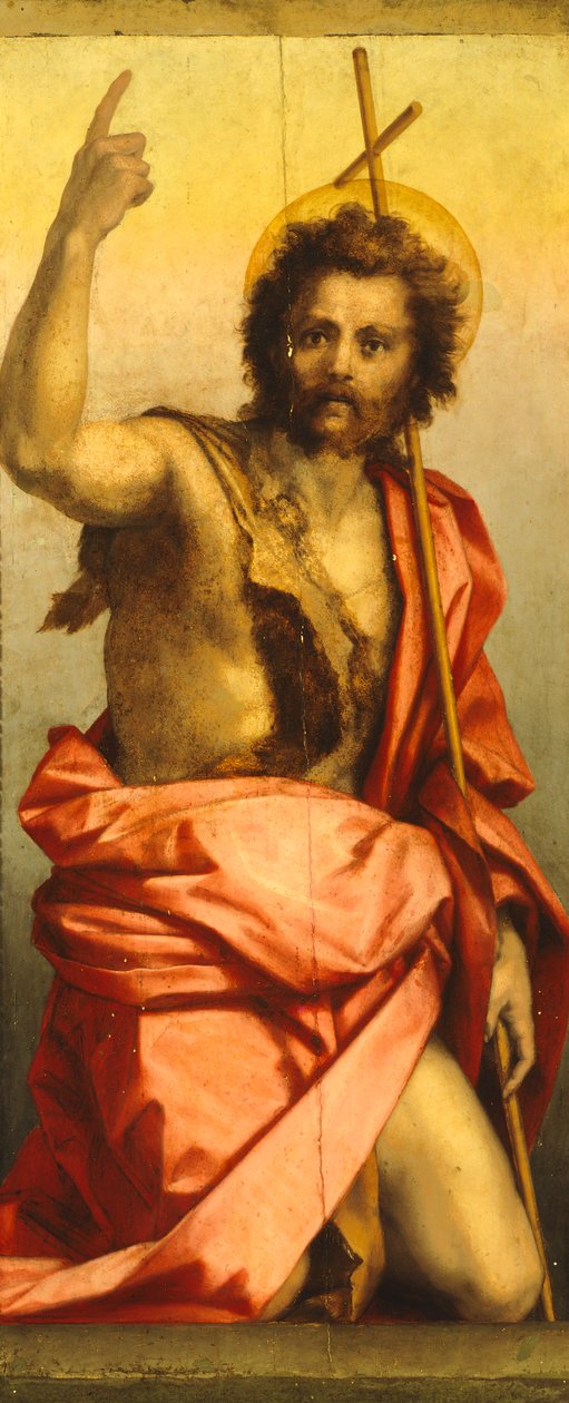 Gemälde von Johannes dem Täufer von Andrea del Sarto