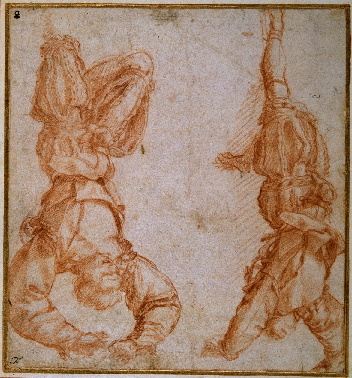 Zwei Studien eines Mannes, der an seinem linken Bein aufgehängt ist von Andrea del Sarto