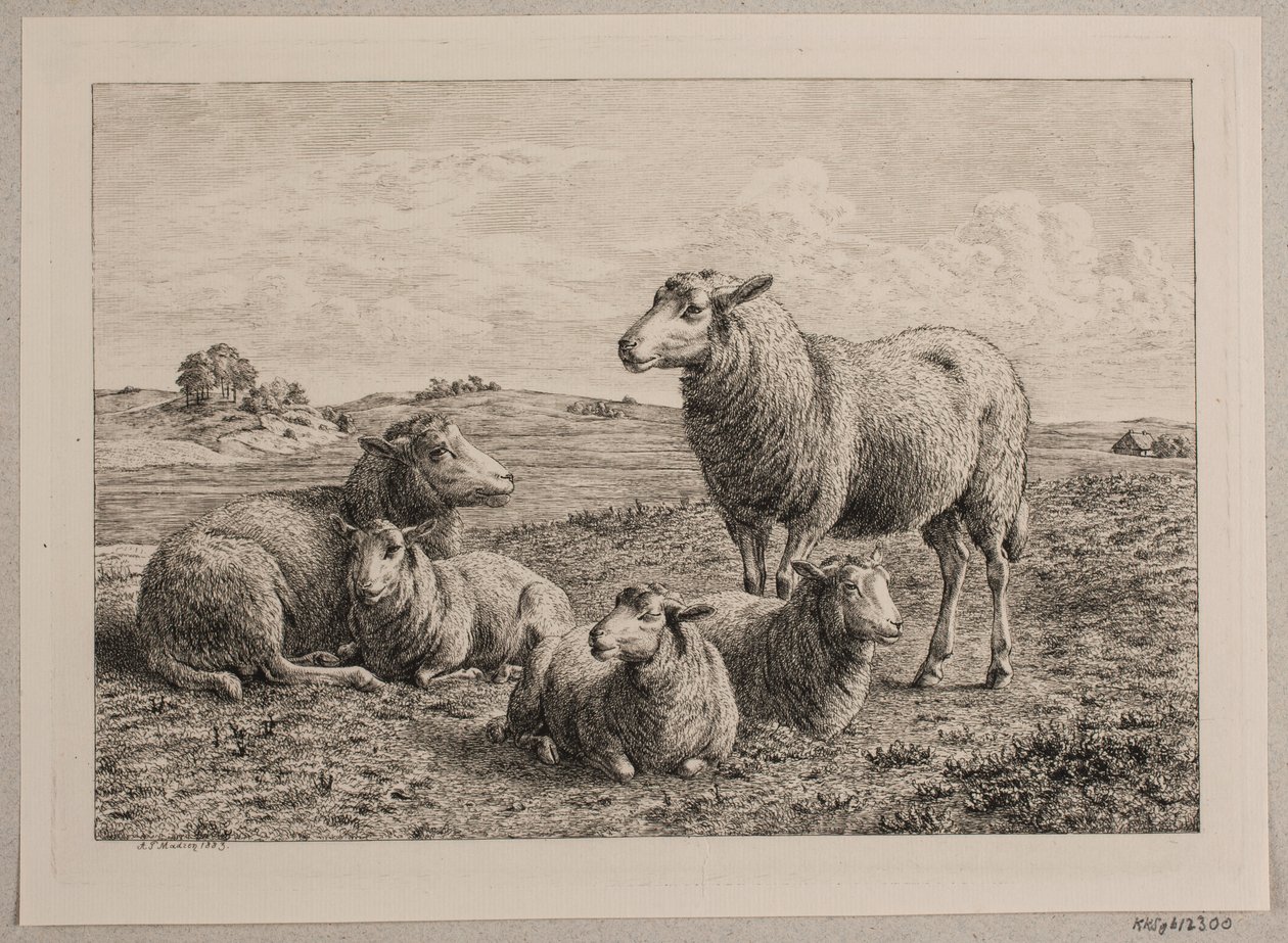 Schafe und Lämmer auf der Weide von Andreas Peter Madsen