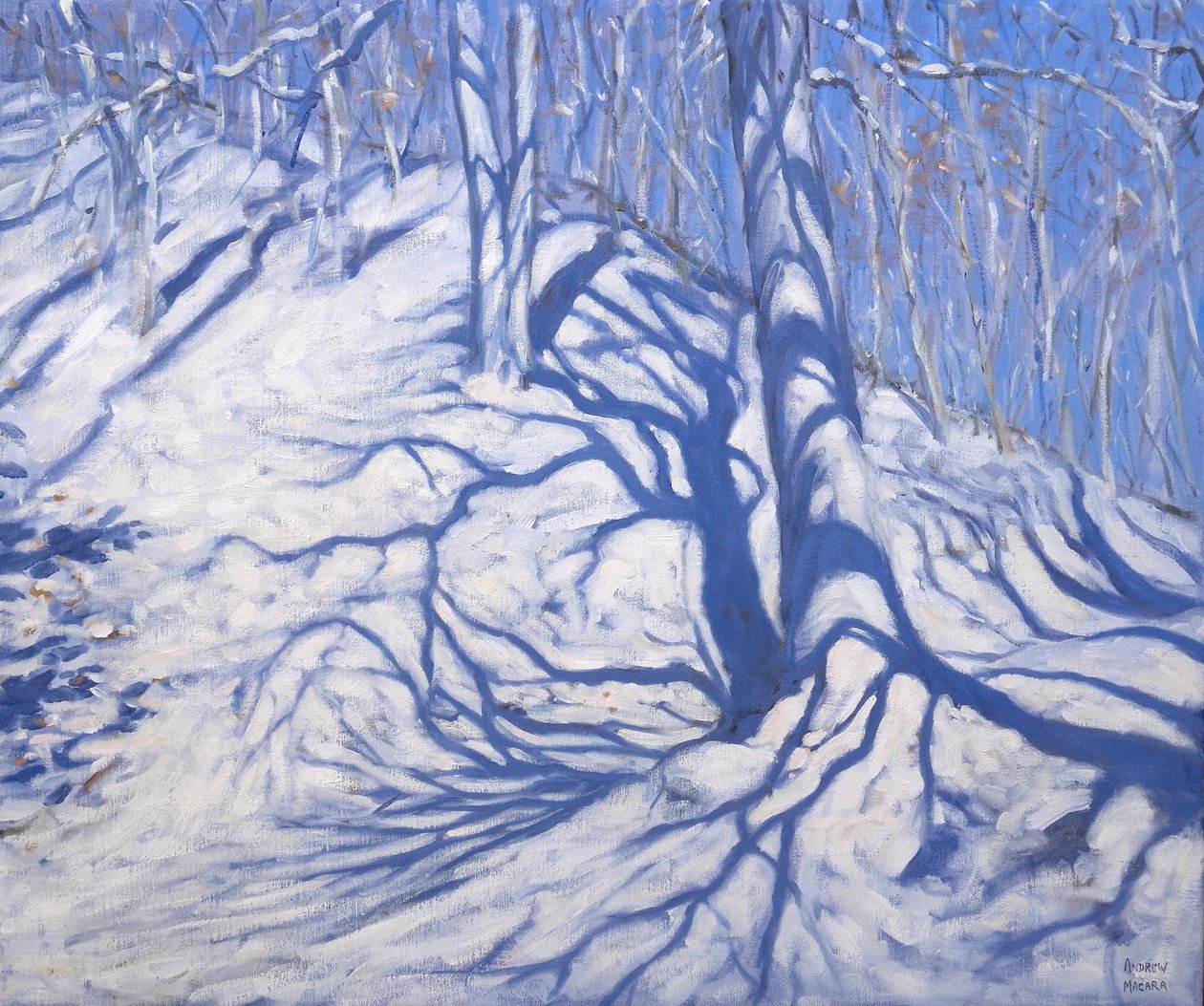 Winterwald, nahe Courcheval, 2008 von Andrew Macara