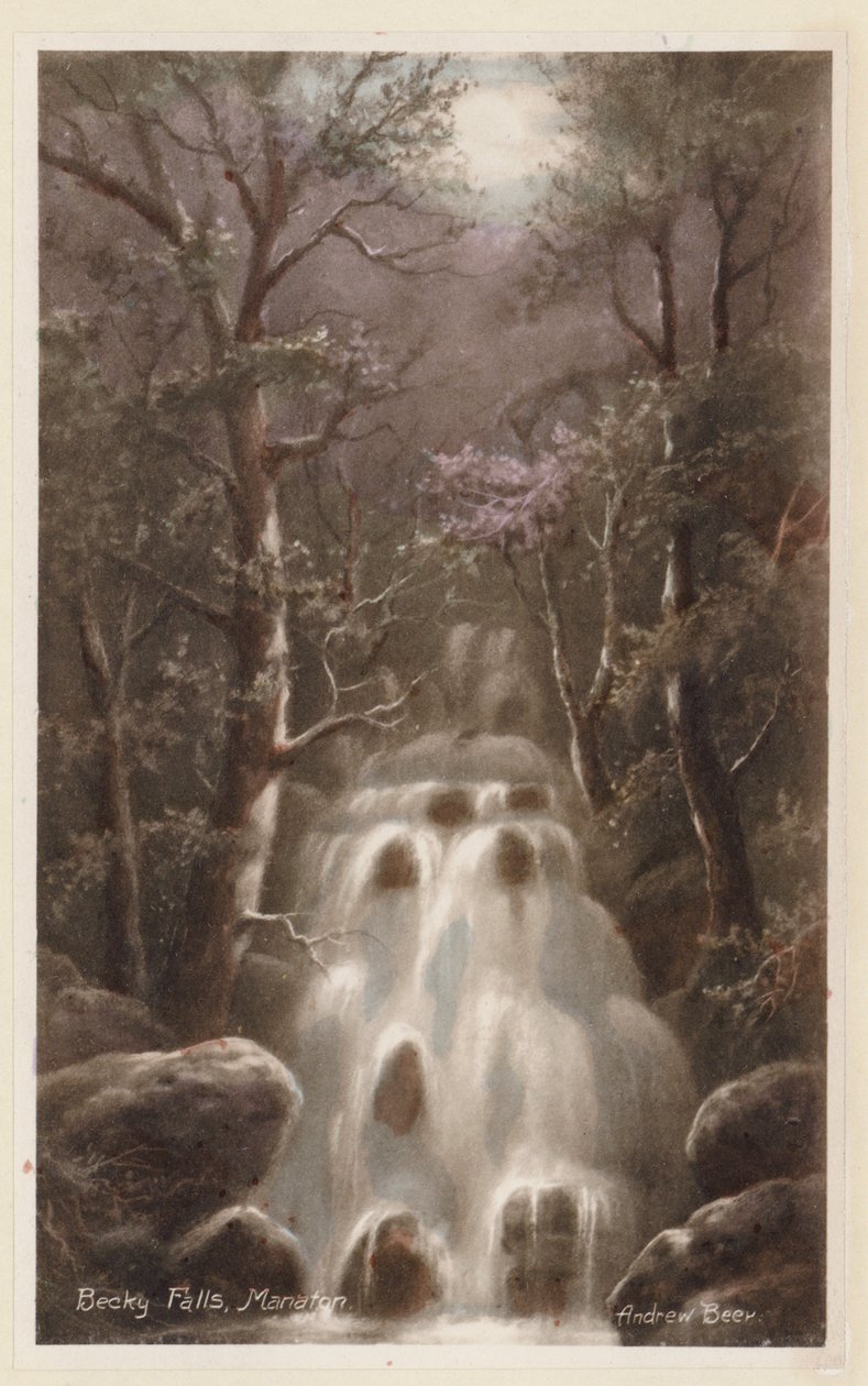 Dartmoor: Becky Falls, Manaton von Andrew Beer