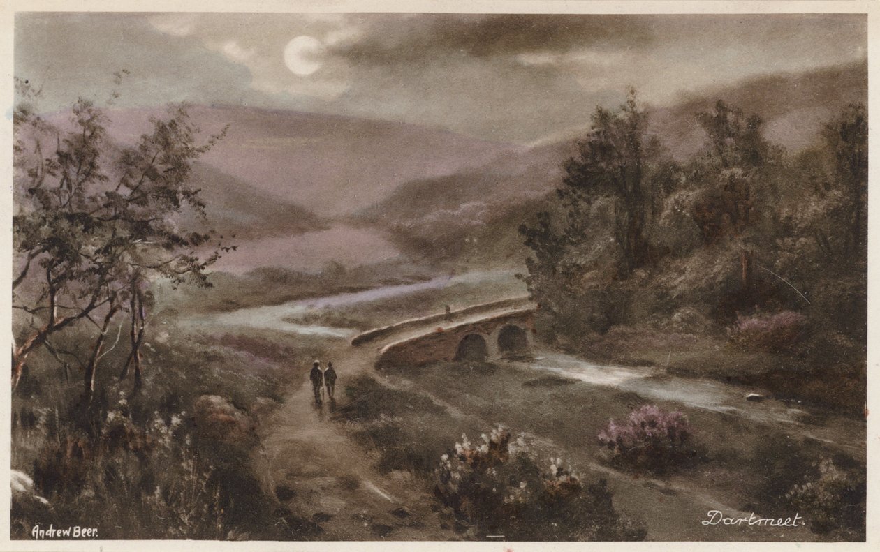 Dartmoor: Dartmeet von Andrew Beer