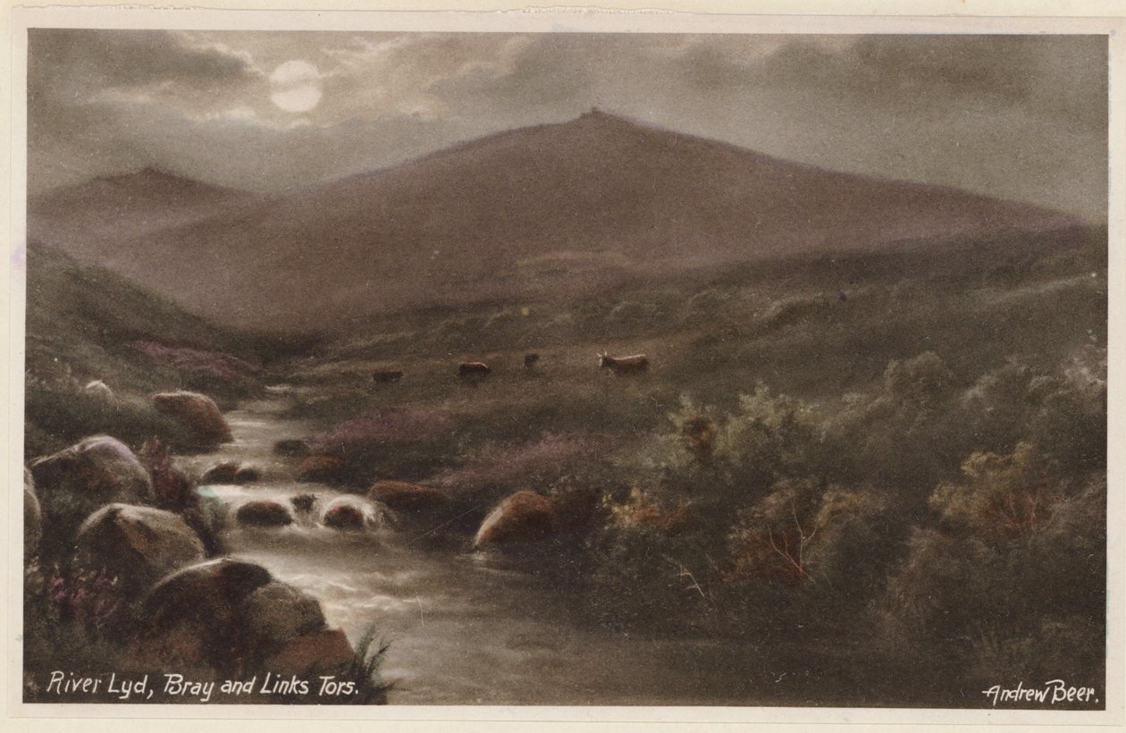 Dartmoor: River Lyd, Bray und Links Tors von Andrew Beer