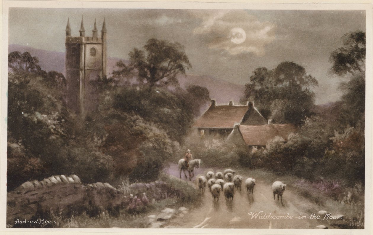 Dartmoor: Widdicombe-in-the-Moor von Andrew Beer