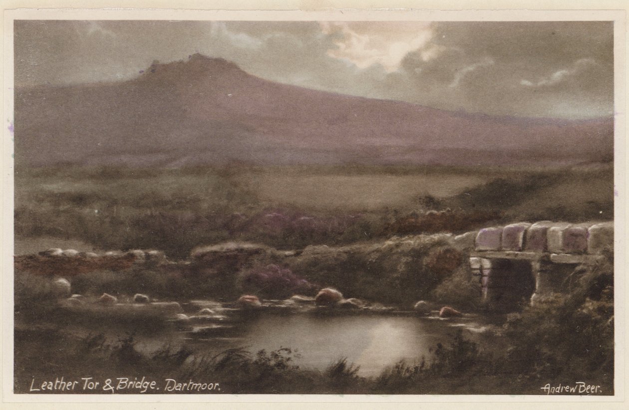 Leather Tor und Brücke, Dartmoor von Andrew Beer