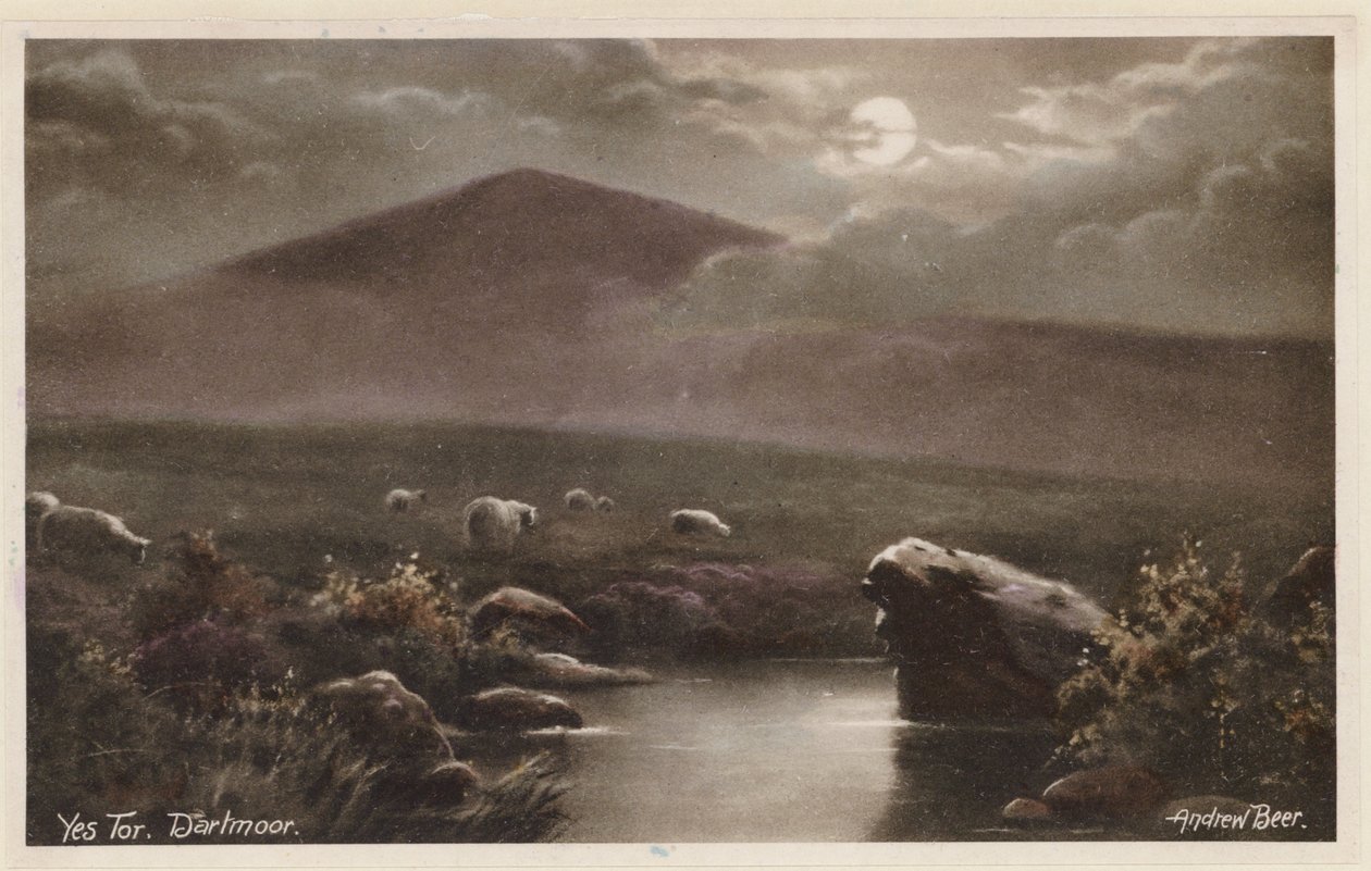 Yes Tor, Dartmoor von Andrew Beer